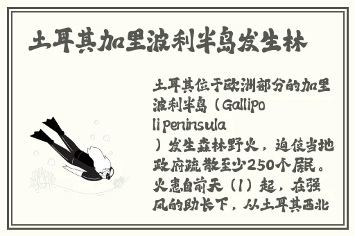 小优视频app为爱而生